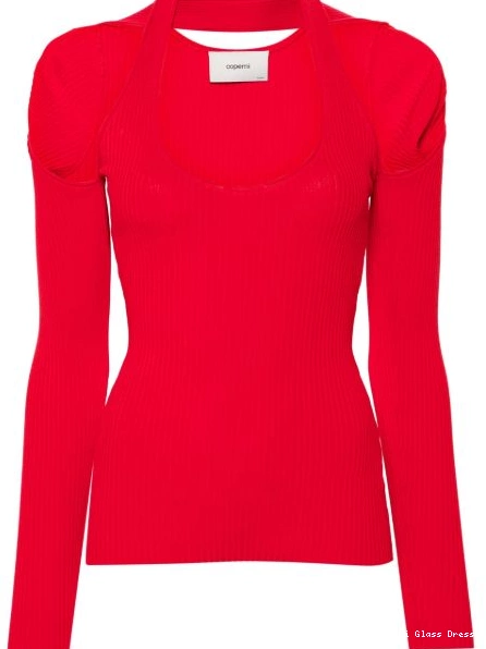 Cheap cut-out Women Coperni knitted top 0223